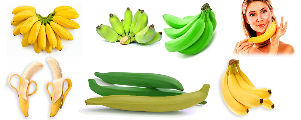 Buy Wholesale Bananas Sydney