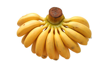 Buy Wholesale Bananas Sydney