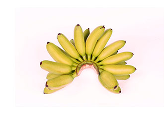 Buy Wholesale Bananas Sydney