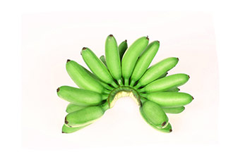 Buy Wholesale Bananas Sydney