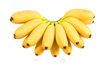 Buy Wholesale Bananas Sydney